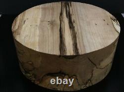 A 12x5 Spalted Hackberry Wood Turning Lathe Bowl Blank