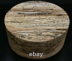 A 12x5 Spalted Hackberry Wood Turning Lathe Bowl Blank