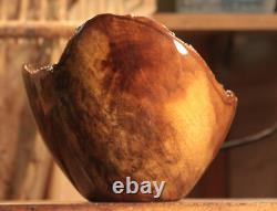 Medium Size, Chinese Tallow Crotch Bowl, Hand Made, Lathe Turned