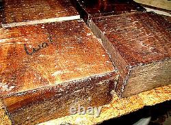 Sixteen (16) Black Walnut Bowl Blanks Lathe Turning Wood Lumber 6 X 6 X 3