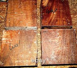 Sixteen (16) Black Walnut Bowl Blanks Lathe Turning Wood Lumber 6 X 6 X 3