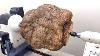 Who Wants To See What S Inside This Giant Tree Wart Woodturning Woodworking