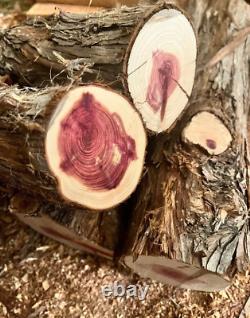 Deux (2) Ébauches de Tournage sur Bois Cèdre Rouge de l'Est / Cèdre Aromatique de Tailles Variées